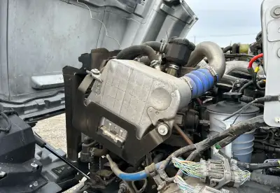 Photo 42